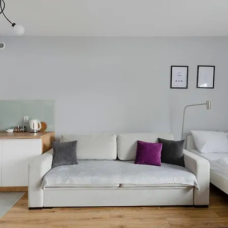 Apartment Aparthouse Deluxe Lodz (Lodz)